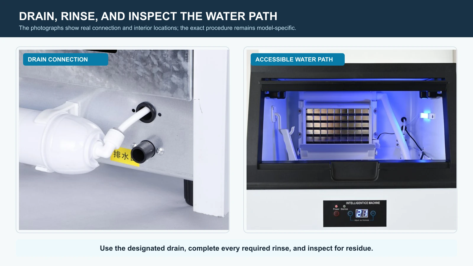 Commercial ice machine drain connection and accessible water-path rinse check